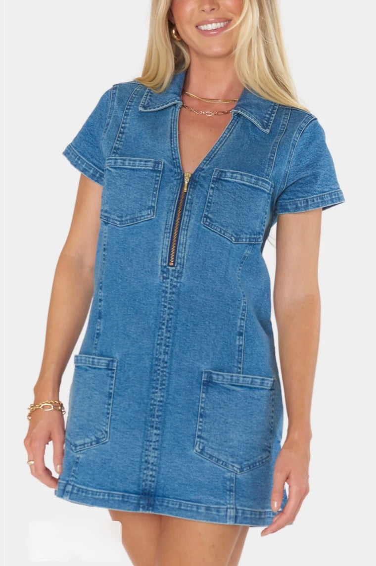 Show Me Your Mumu Prescott Mini Dress