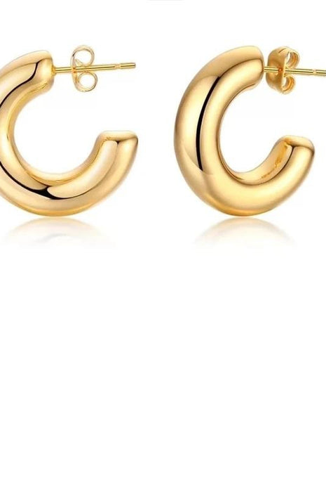 Chloe Mini Hoops