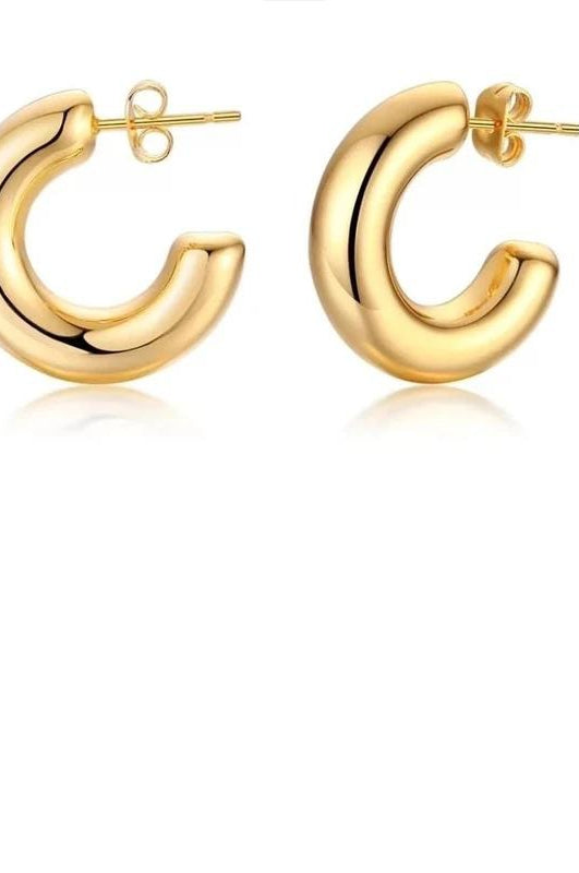 Chloe Mini Hoops