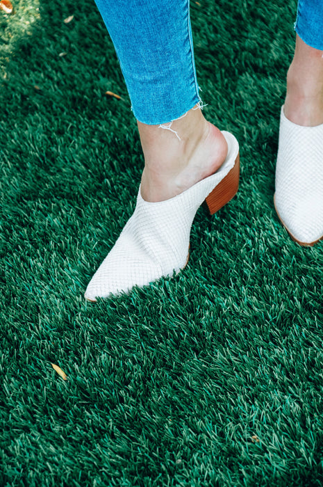 Matisse Cammy Blush Snake Mules