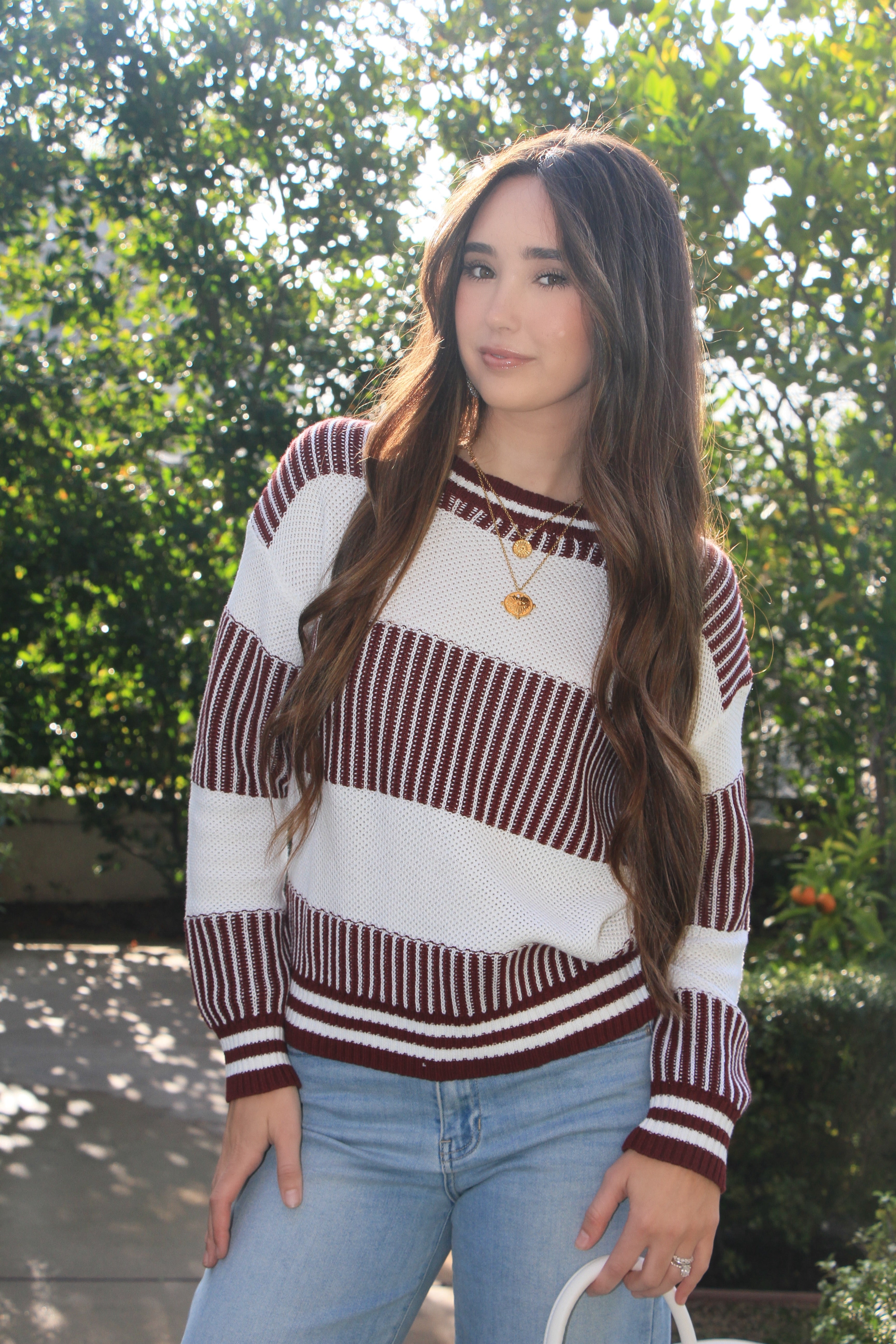 Stripe Sweater Brown