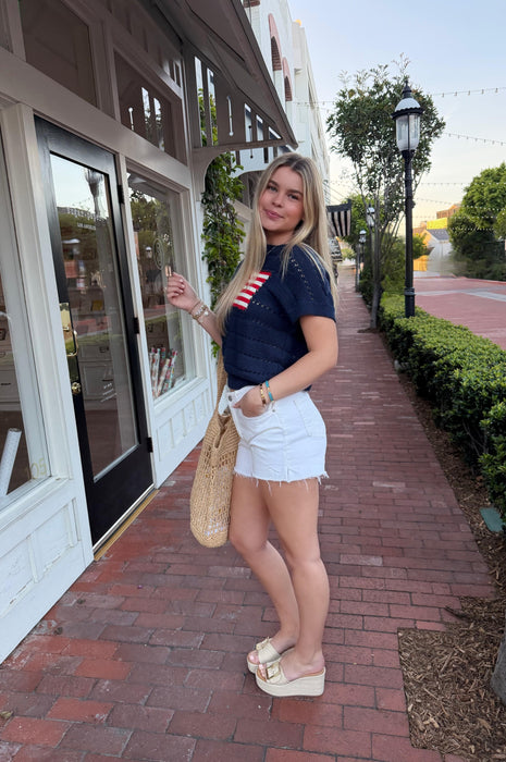 American Flag Navy Sweater