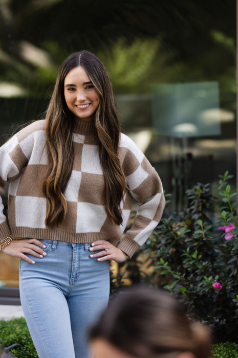 Checkerboard Sweater Taupe